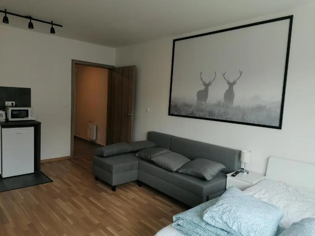Brand New Studio Apartment #71 With Free Secure Parking In The Center Prague